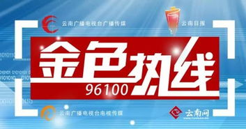 王喜良市長做客金色熱線，共話昆明網絡技術轉讓新機遇